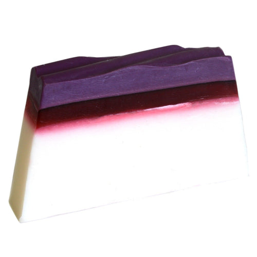 Pain de Savon Format Pro 1,3kg – Mangoustan