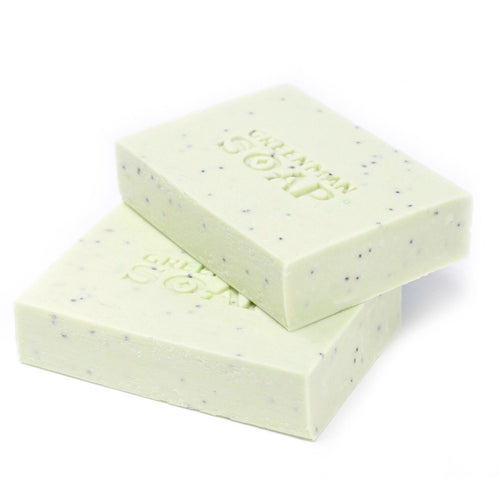 Savon Tea Tree & Menthe Poivrée 100g - Greenman Antiseptic Spot Attack